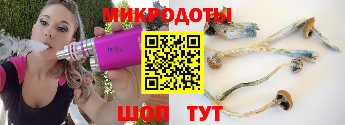 Галлюциногенные грибы Magic Shrooms Краснознаменск