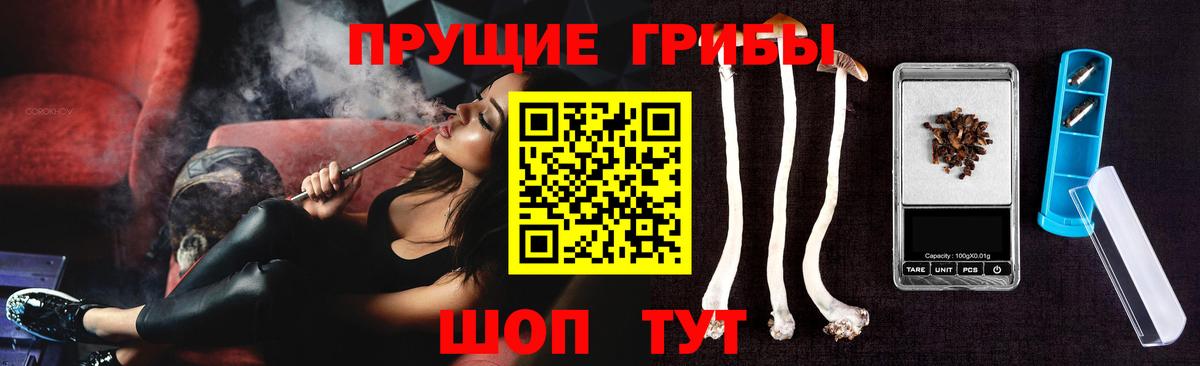 Краснознаменск  Псилоцибиновые грибы Psilocybe  Вход с VPN  Псилоцибиновые грибы мицелий 